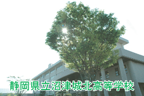 �摜